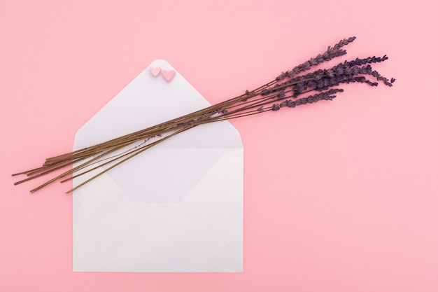 Craft a ouvert une enveloppe de papier pour courrier postal et lavande isolé sur le rose