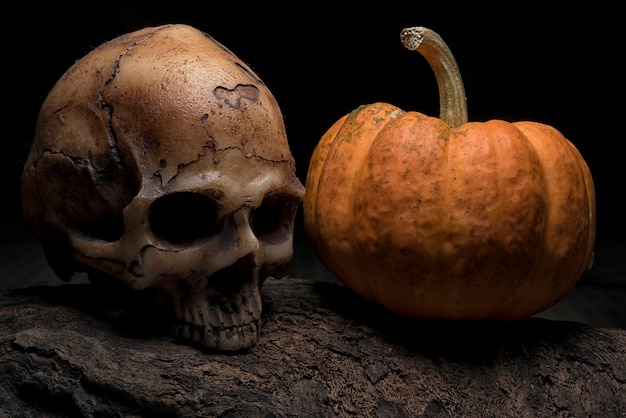 Photo crâne et citrouille d'halloween sur le bois