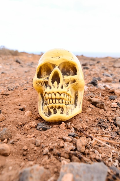 Crâne humain abandonné dans le désert de roche
