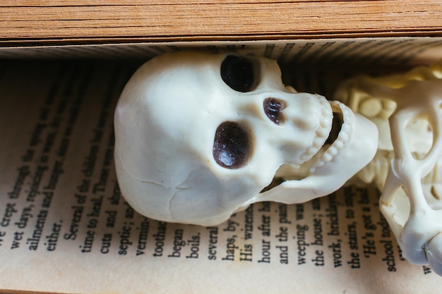 Crâne humain artificiel entre les pages d'un livre