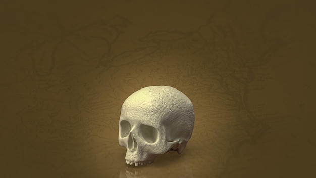 Le crâne humain sur une carte vintage pour l'éducation ou le rendu 3d du concept sci