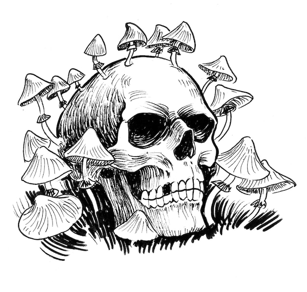 Crâne humain et champignons vénéneux Dessin noir et blanc à l'encre