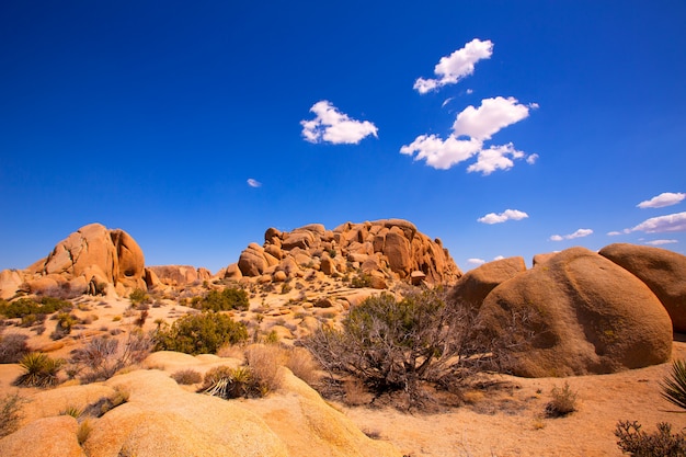 Crâne, Rocher, Joshua Tree, Parc National, Mohave, Californie