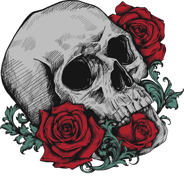 Un crâne avec des roses sur fond blanc