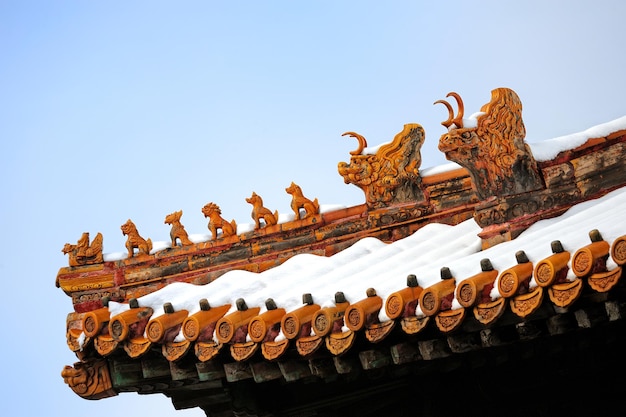 Le crâne volant du palais de la Cité Interdite de Pékin