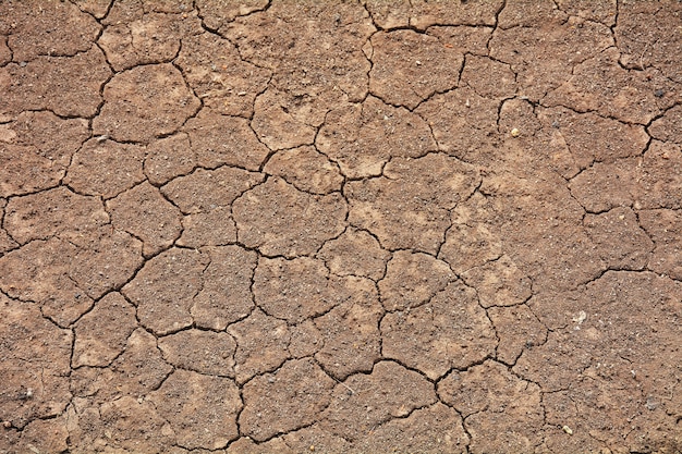 Craquer la texture du sol en été. du climat mondial