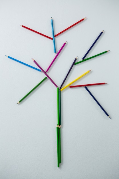 Crayon de couleur formant un arbre