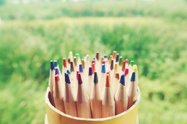 Crayons colorés en bois sur un fond de jardin vert