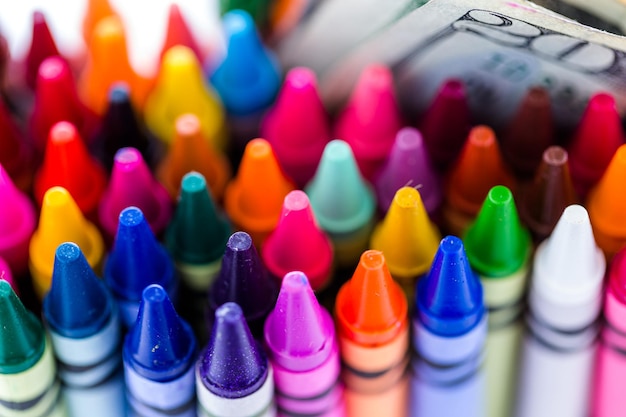 Crayons multicolores sur fond blanc.