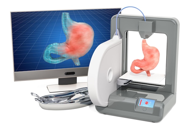 Création d'un estomac artificiel sur une imprimante tridimensionnelle impression 3d dans le concept de médecine