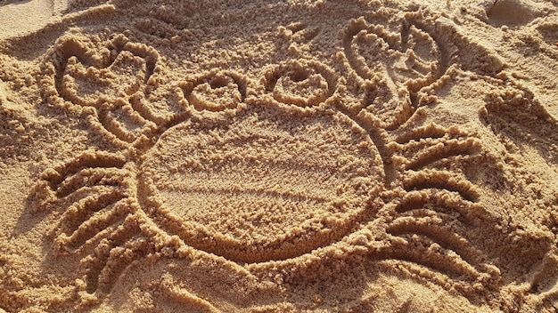 Création manuelle d'un dessin animé d'un crabe dans le sable sur la plage. ligne de côte