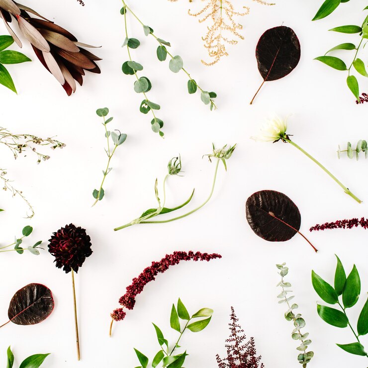Photo creative décoré et disposé concept de modèle plat poser avec des branches vertes et violettes sur blanc