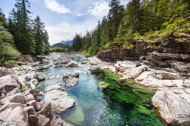 Creek dans le parc Glacier, USA