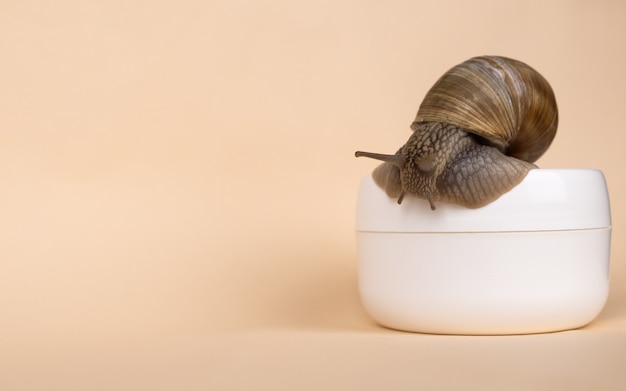 Photo crème d'escargot et de mucine sur la surface beige