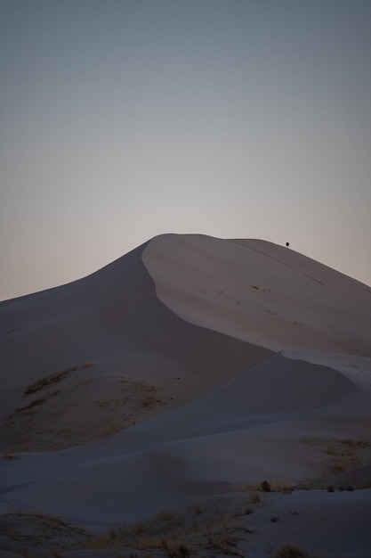 crépuscule dans les dunes du désert