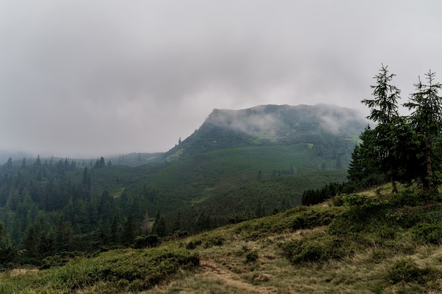 Crépuscule dans les montagnes avant une tempête et un orage un jour pluvieux et brumeux