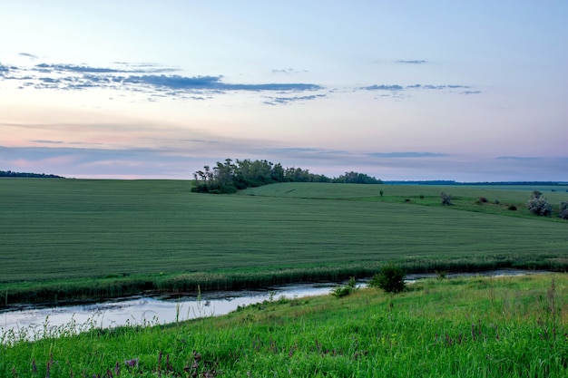 Crépuscule du soir sur la prairie Ciel dramatique lumineux et herbe verte