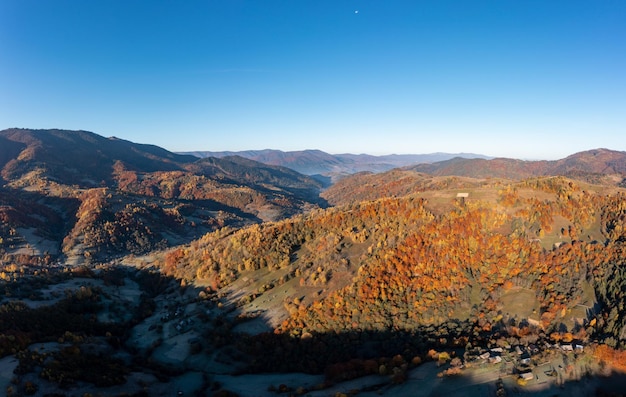 Crête de montagne avec des arbres jaunis en automne à la lumière du soleil