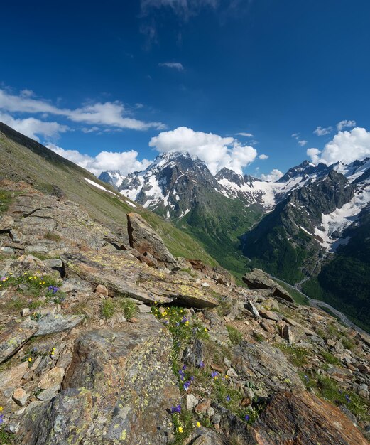 Crête de montagne en été Beau paysage naturel