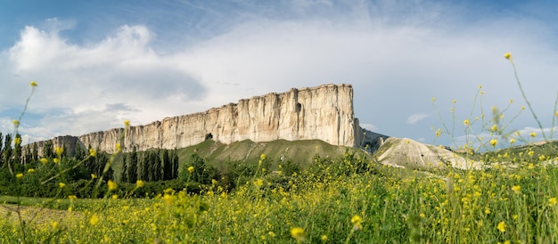 Crête rocheuse dans la vallée verte