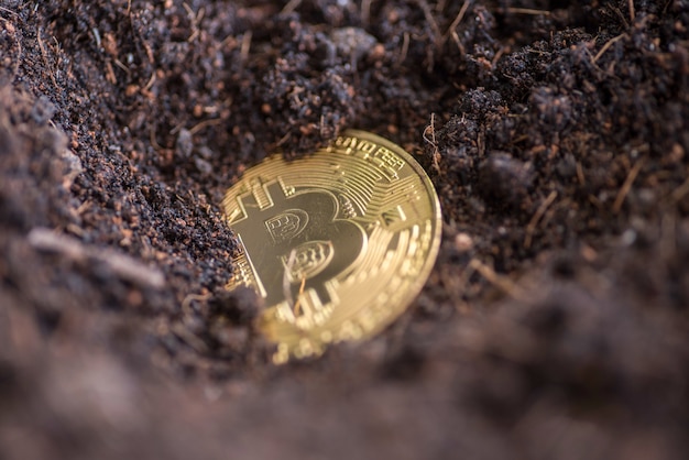 creuser et explorer pour trouver bitcoin