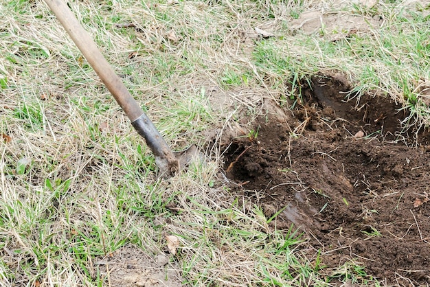 Creuser labourer le sol du sol avec une pelle dans la forêt du champ de jardin au printemps ou en automne agriculture agronomie gros plan