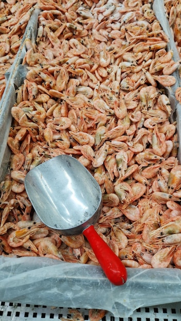 Crevettes bouillies congelées en gros plan dans un magasin Crevettes à vendre dans un supermarché Coupe en acier inoxydable