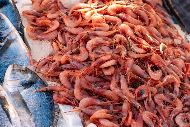 Crevettes bouillies fraîches sur le comptoir du marché aux poissons