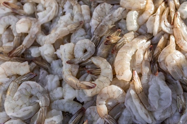 Crevettes crues fraîches pour la cuisson des ingrédients de fruits de mer