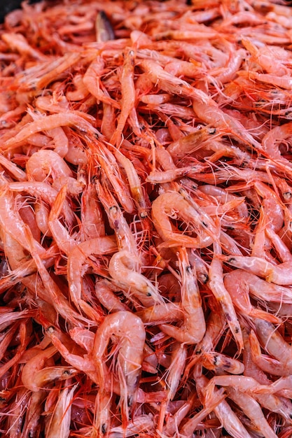 Crevettes crues fraîches