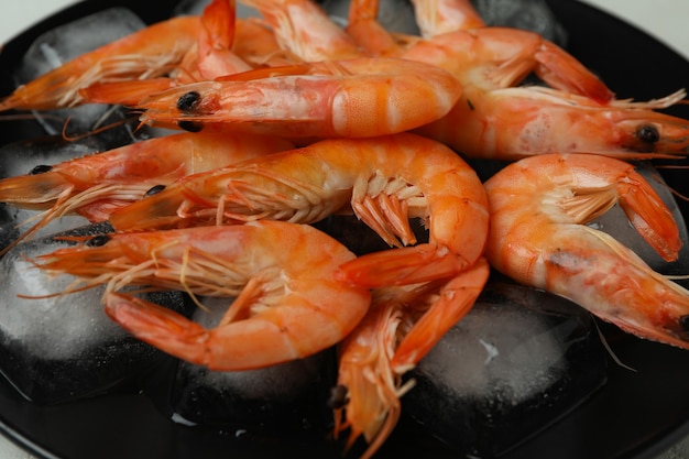 Crevettes cuites savoureuses et glaçons, gros plan