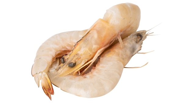 Crevettes fraîches crues grosses crevettes isolées sur fond blanc avec un tracé de détourage