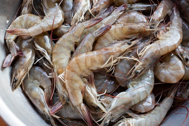 Crevettes fraîches d&#39;eau douce