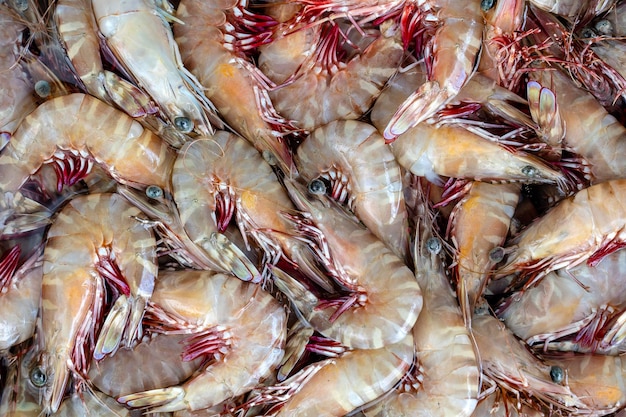 Crevettes fraîches de la mer au marché de rue en Thaïlande Concept de fruits de mer