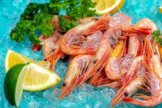 crevettes fraîches rouges avec leurs têtes, allongées sur le fond bleu de la mer bleu glace, cerise, tranches de citron