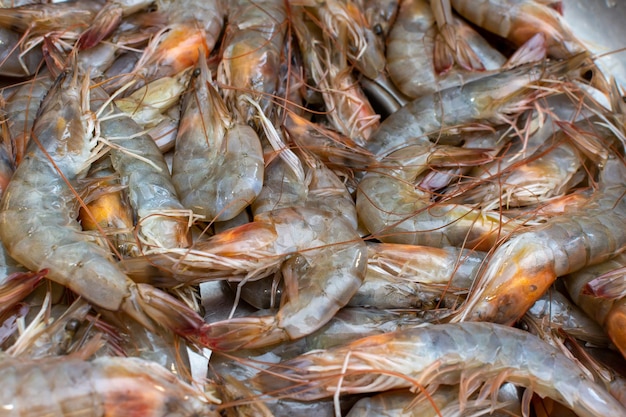 Crevettes fraîches à vendre dans le magasin