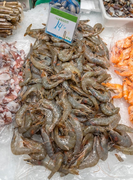 Crevettes fraîches