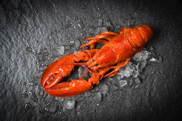 Crevettes de fruits de mer de homard rouge avec vue de dessus de glace