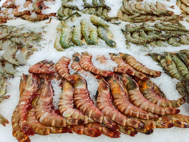 Crevettes grandes et petites crues sur glace au marché aux poissons