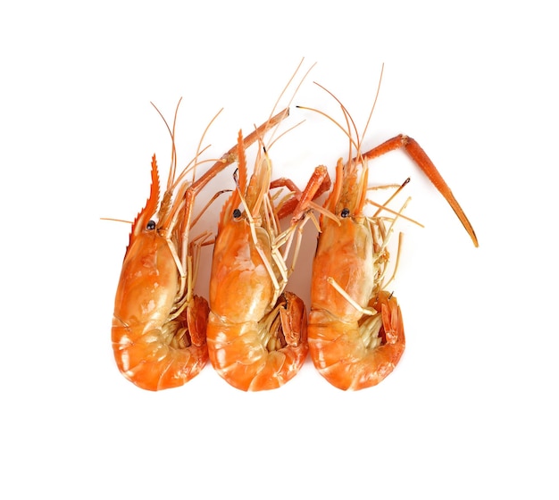 Crevettes isolées sur fond blanc