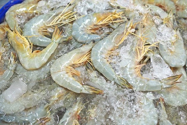 crevettes sur le marché