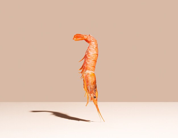 Crevettes Rouges Sur Fond Beige. Concept Minimaliste, Orientation Horizontale