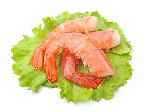 Crevettes avec salade sur fond blanc