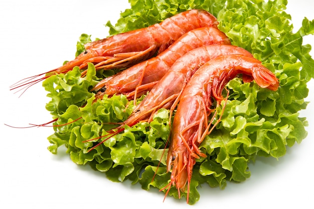 Crevettes sur une salade fraîche