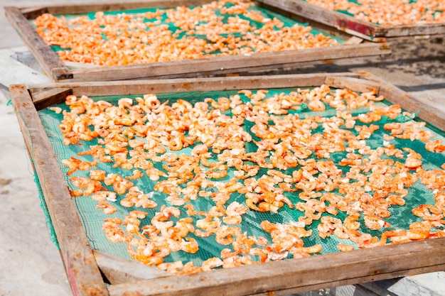 Des crevettes séchées au soleil au Vietnam