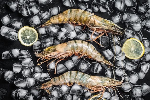 Crevettes tigrées fraîches Crevettes au citron sur glace Fruits de mer crus Fond noir Vue de dessus