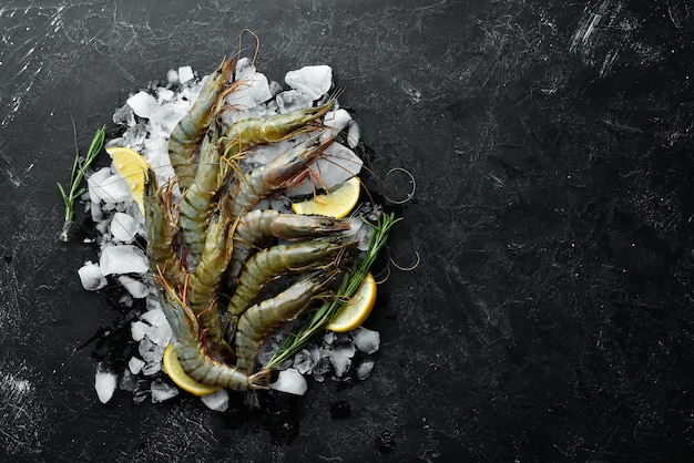 Crevettes tigrées noires au citron sur glace Vue de dessus de fruits de mer Sur fond noir Espace de copie gratuit