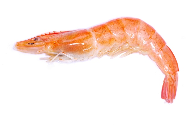 Photo crevettes