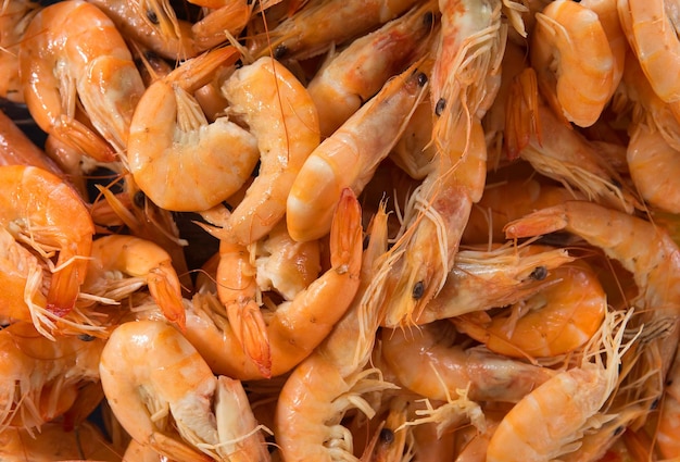 crevettes