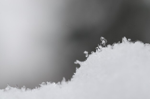 Photo cristal de neige unique avec gris